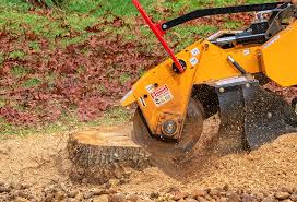 Best Lawn Mowing  in Wendover, UT